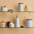 Distributeur de savon